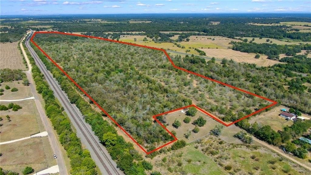 81.53 acres in Burleson County gallery image 3