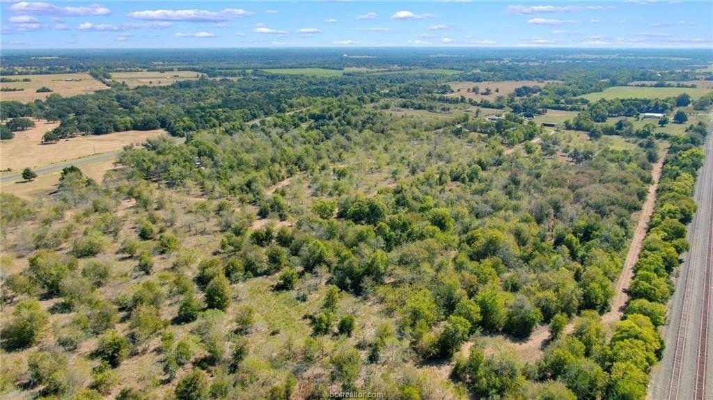 81.53 acres in Burleson County - photo 18