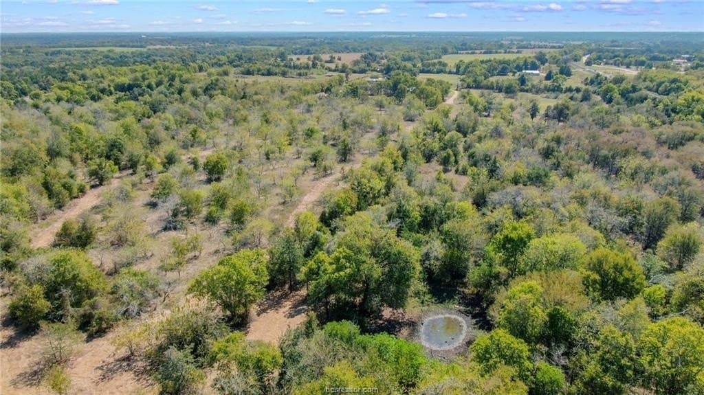 81.53 acres in Burleson County - photo 22