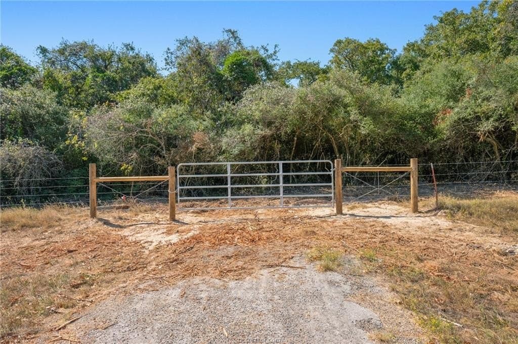 81.53 acres in Burleson County - photo 8