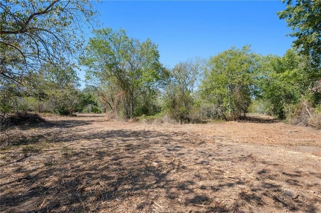 81.53 acres in Burleson County - photo 7