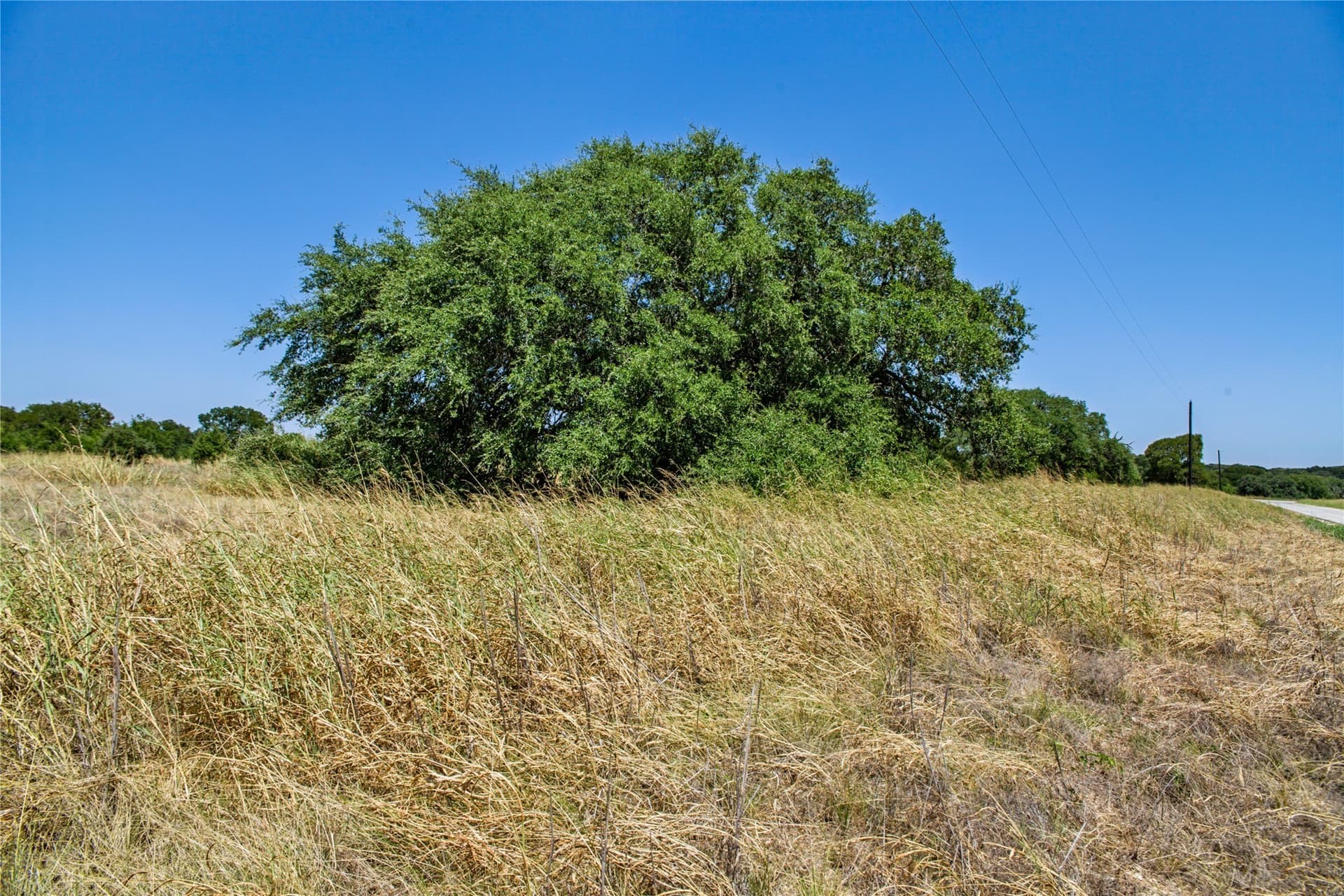 6.01 acres in Coryell County - photo 35