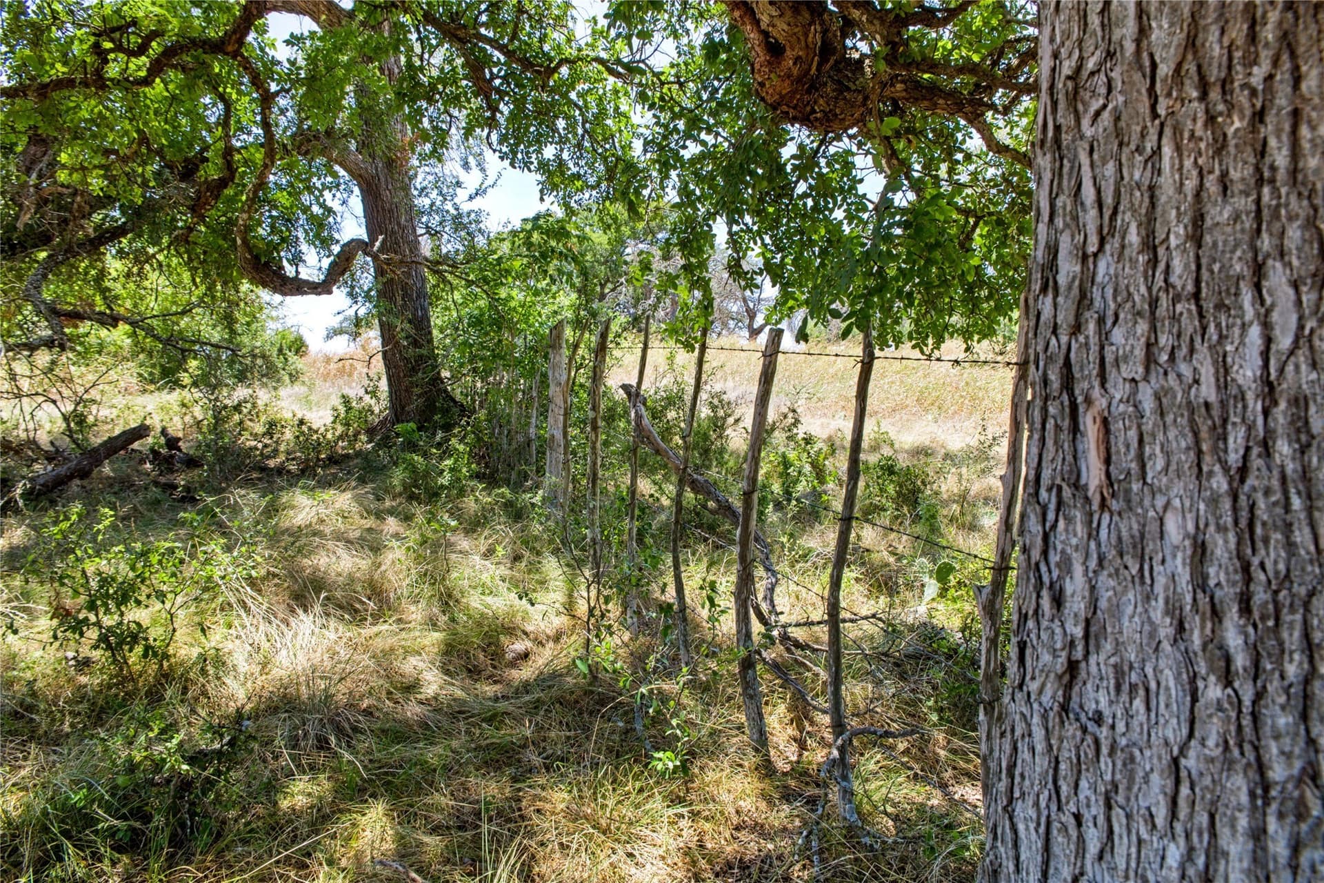 6.01 acres in Coryell County - photo 27