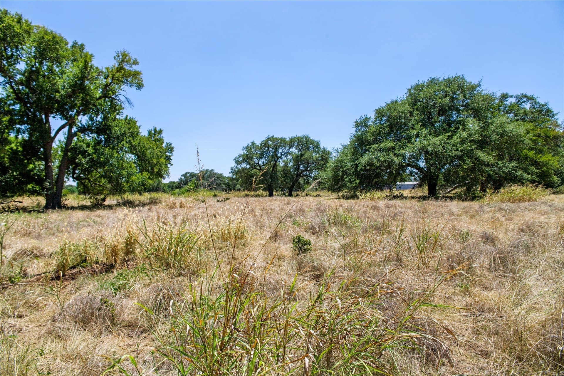 6.01 acres in Coryell County - photo 21