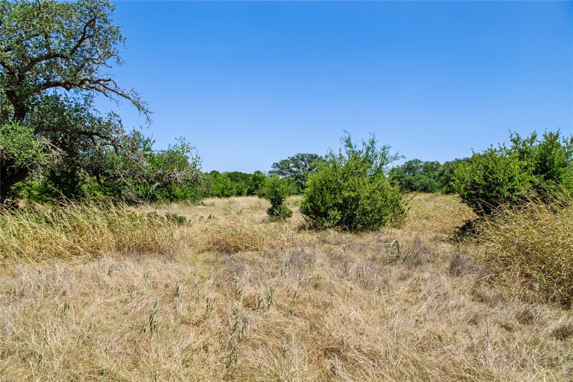 6.01 acres in Coryell County - photo 33