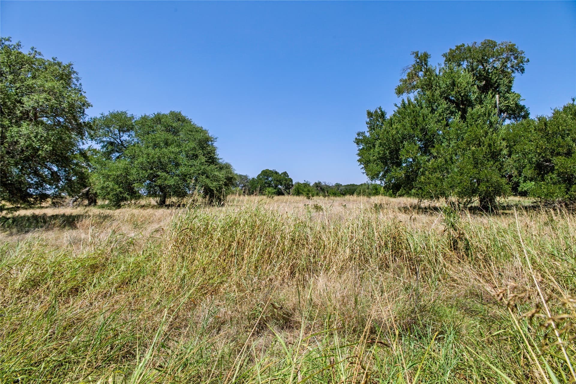 6.01 acres in Coryell County - photo 18