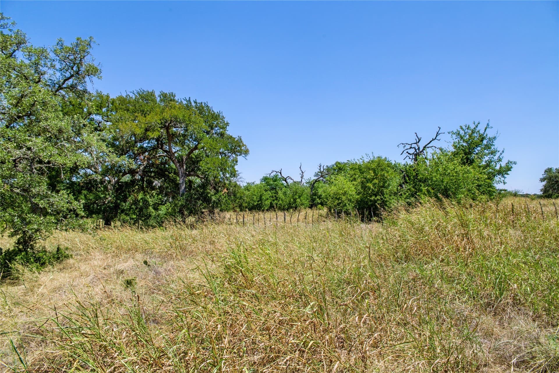 6.01 acres in Coryell County - photo 31