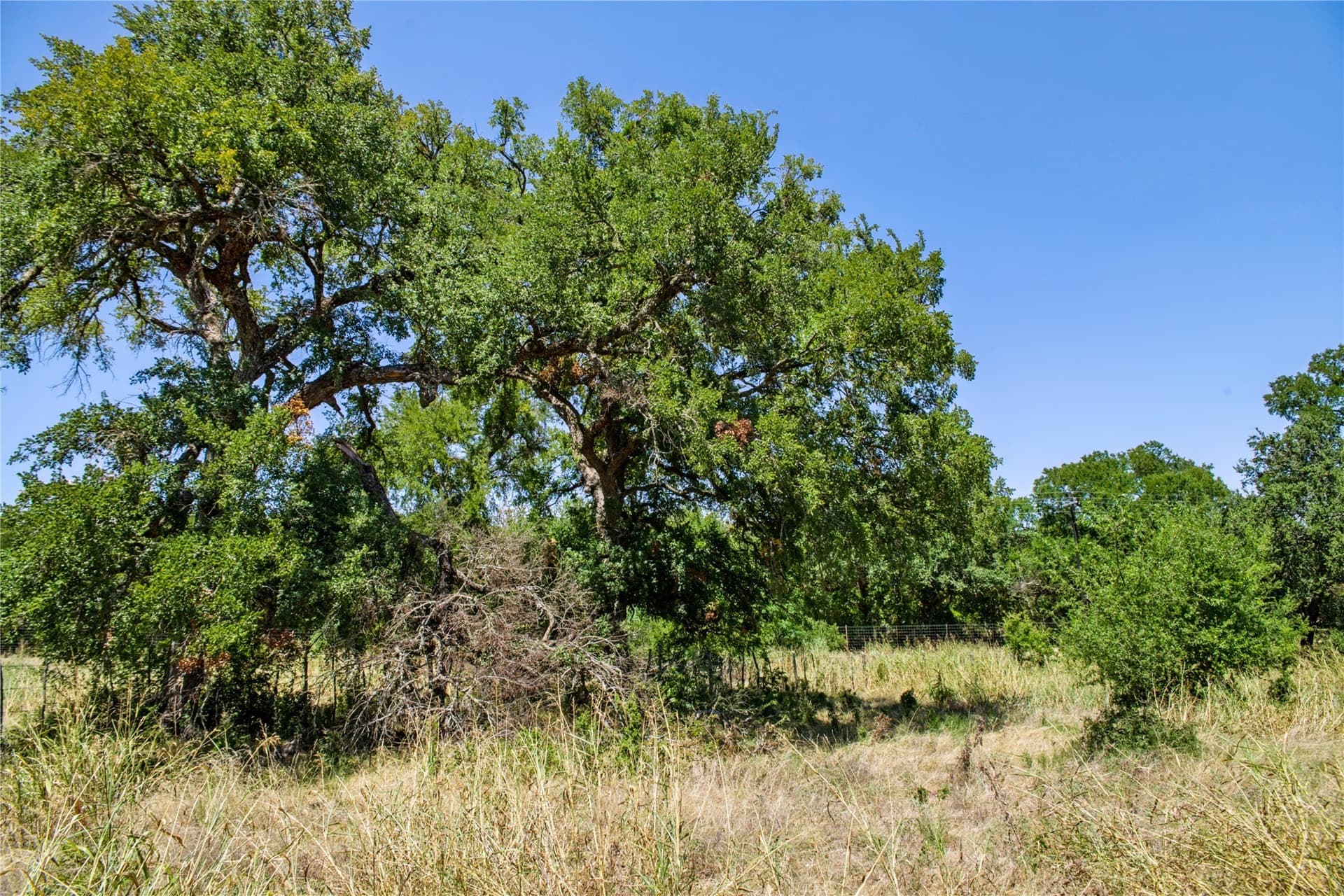 6.01 acres in Coryell County - photo 25
