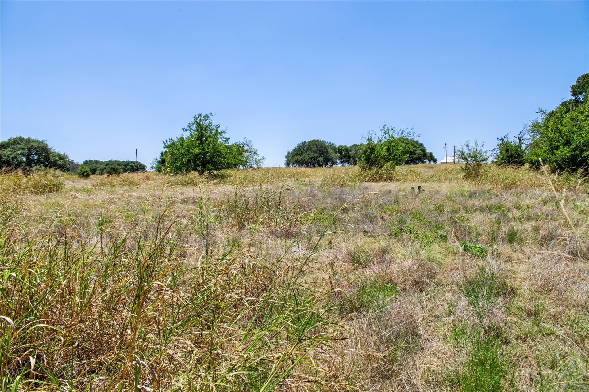 6.01 acres in Coryell County - photo 24