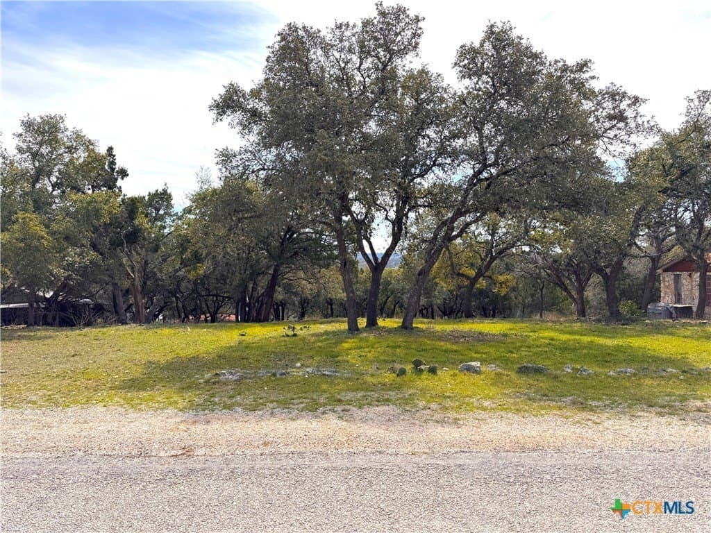 0.34 acres in Comal County gallery image 4