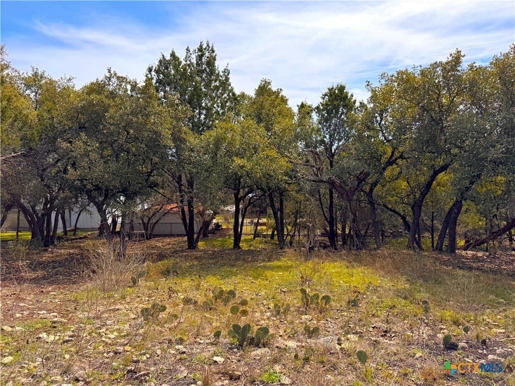 0.34 acres in Comal County gallery image 2