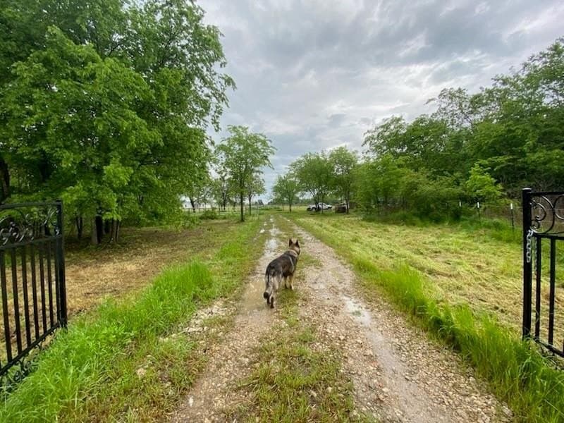 3 acres in Van Zandt County gallery image 2