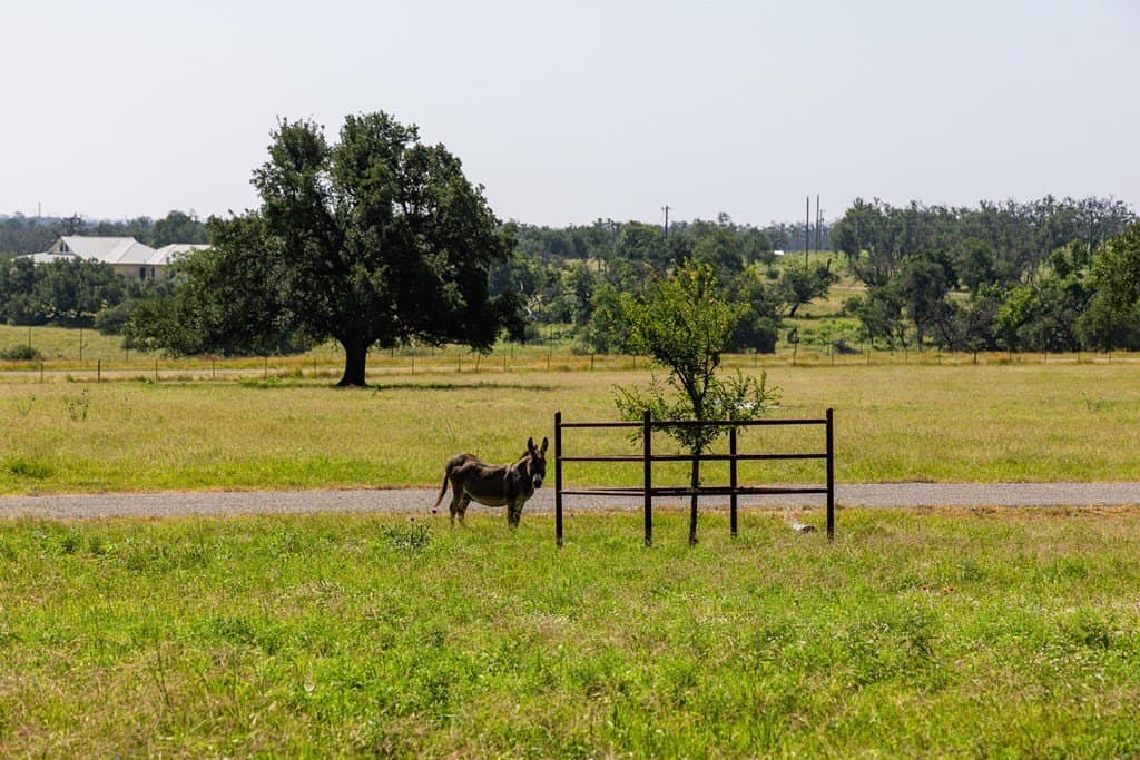 12.88 acres in Gillespie County - photo 6