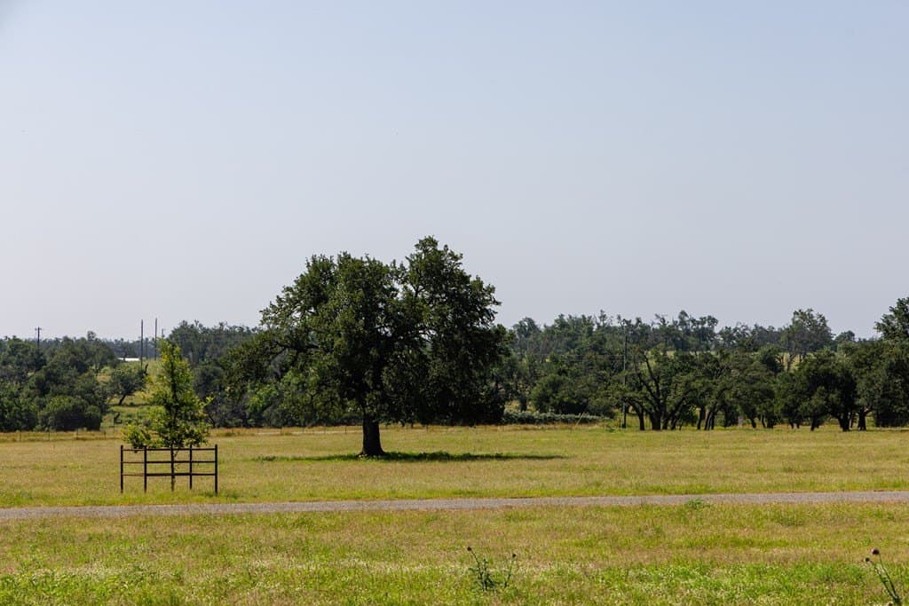 12.88 acres in Gillespie County - photo 64