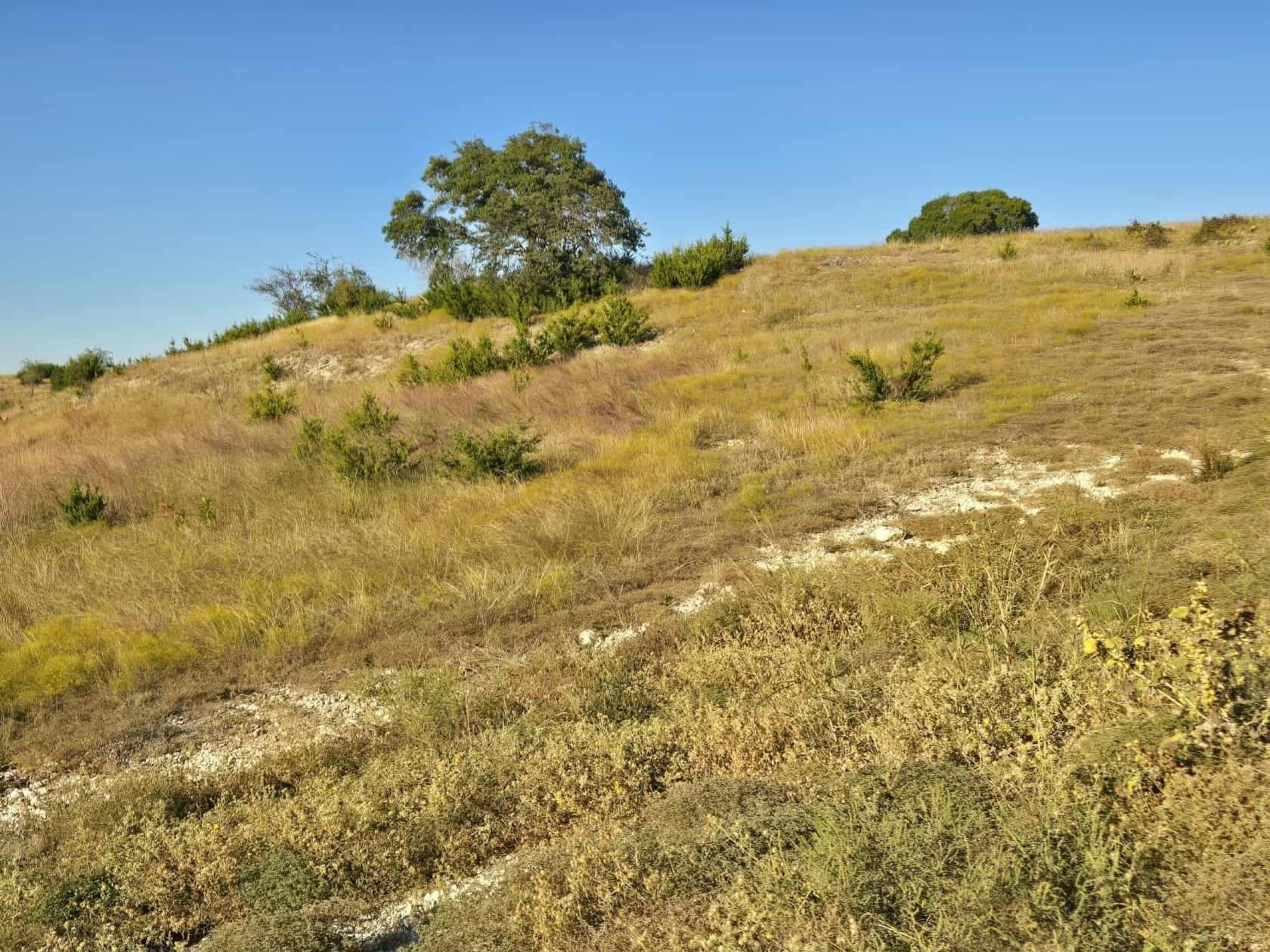 5 acres in Coryell County - photo 4