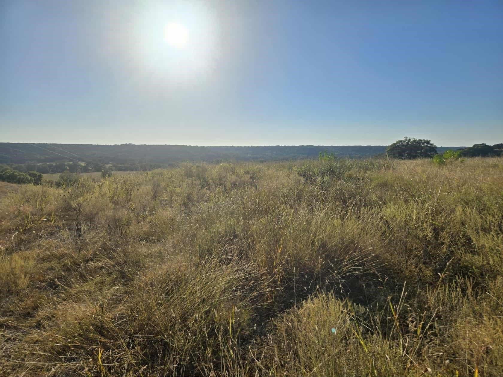 5 acres in Coryell County - photo 9