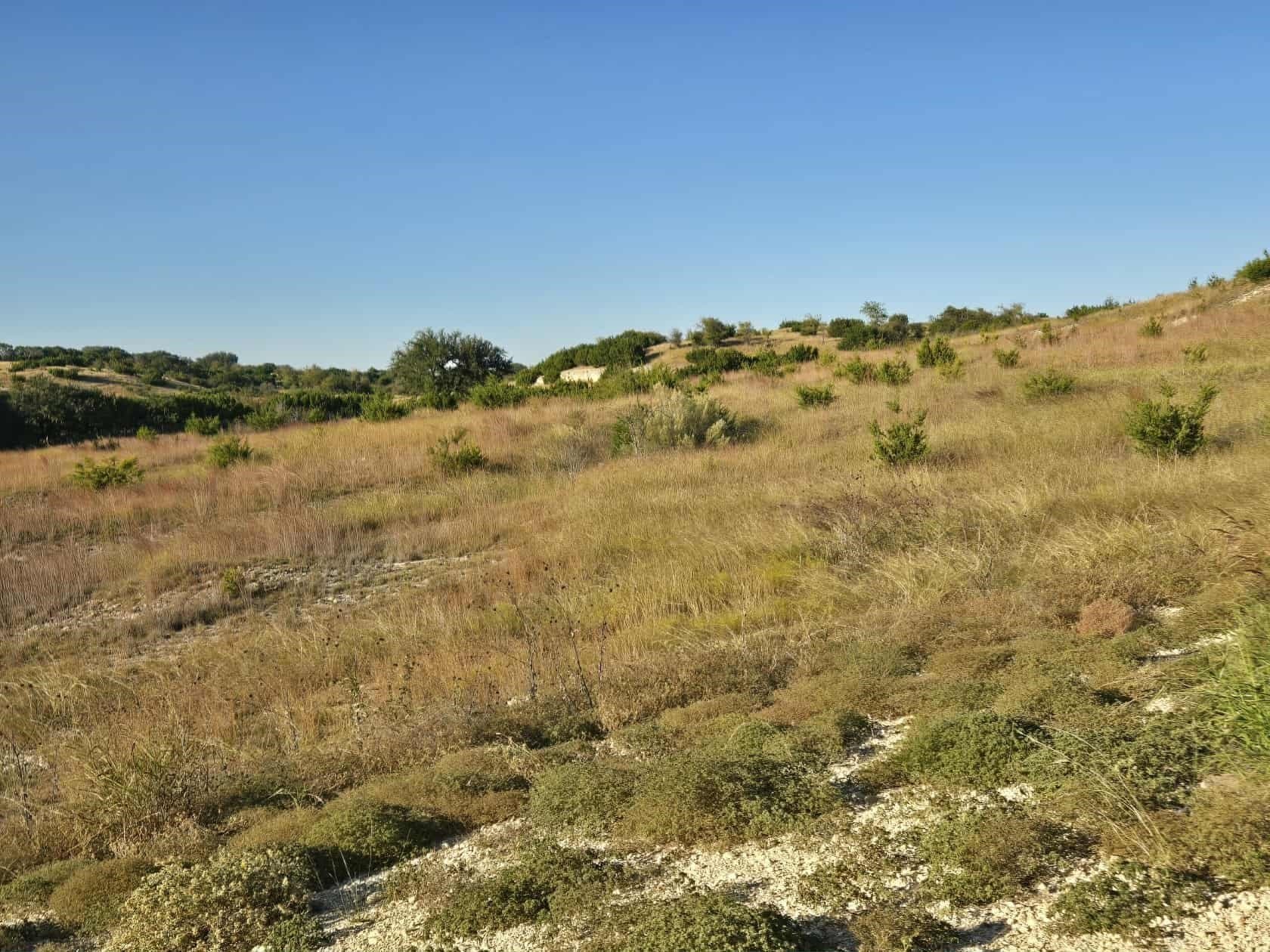 5 acres in Coryell County - photo 13