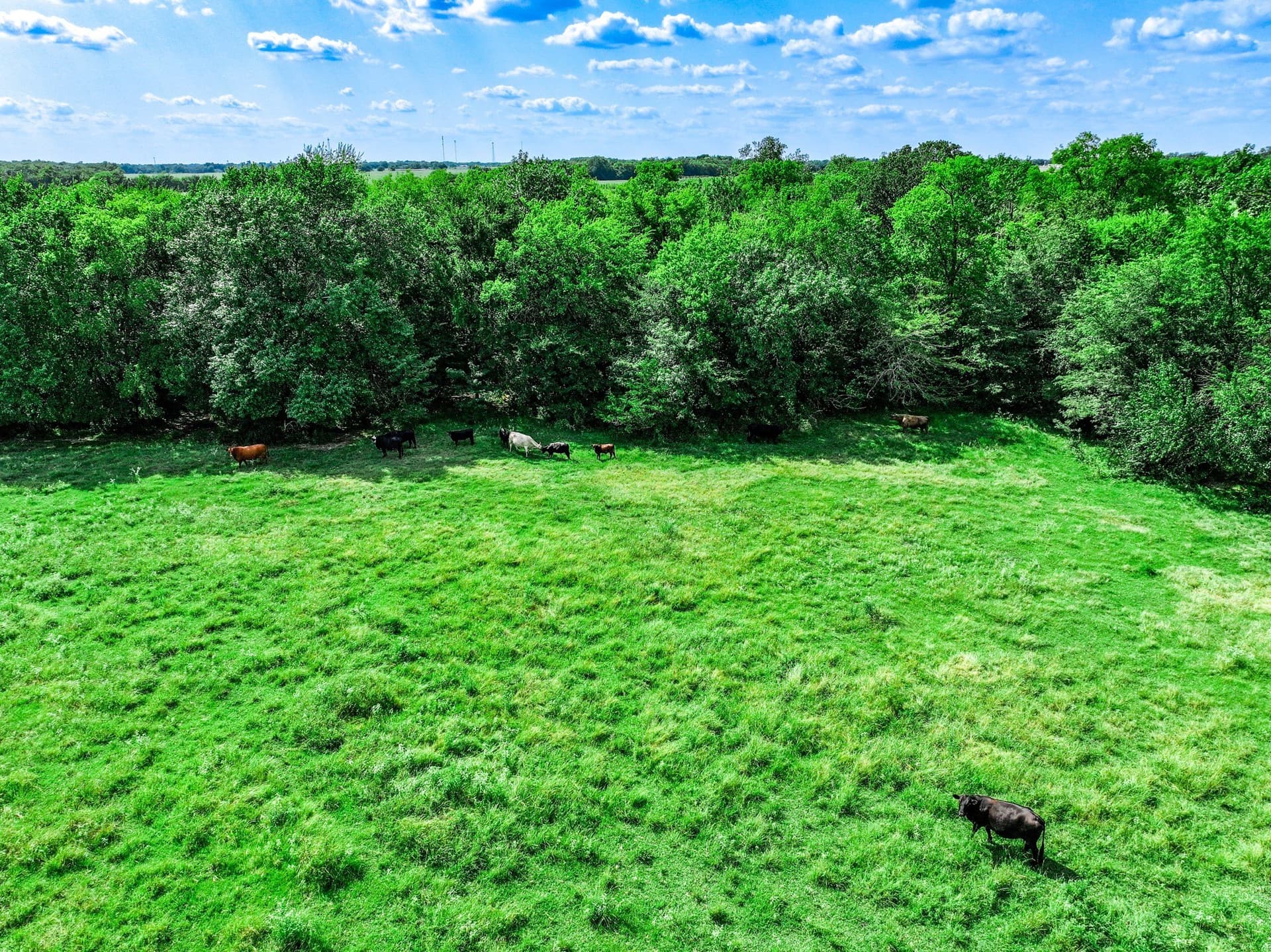 78.16 acres in Hopkins County - photo 19