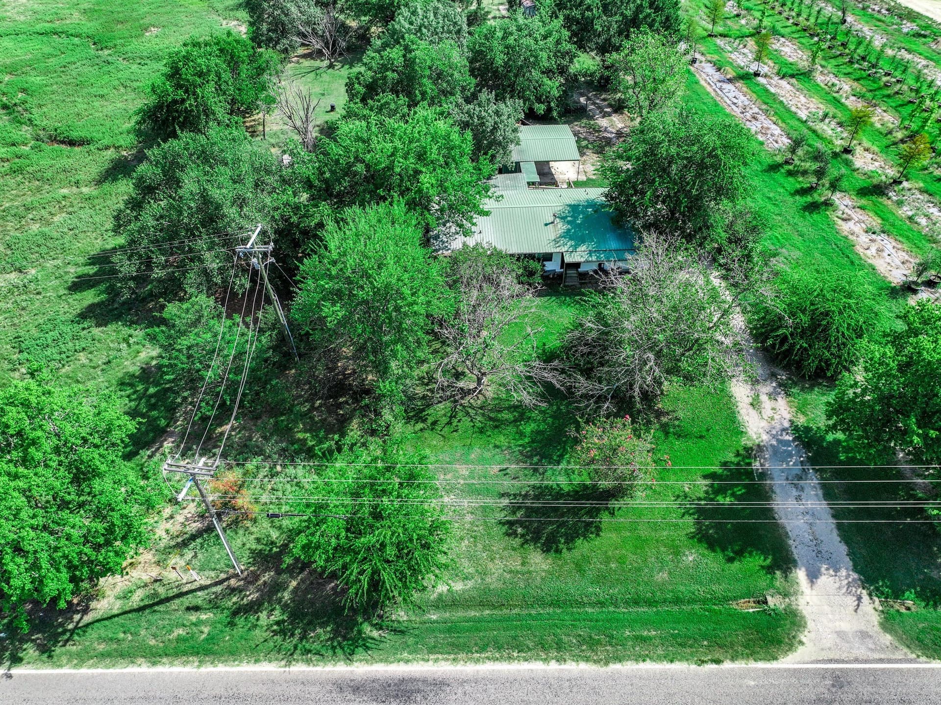 78.16 acres in Hopkins County - photo 9