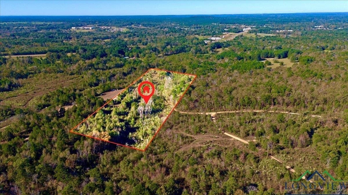 13.47 acres in Upshur County gallery image 4
