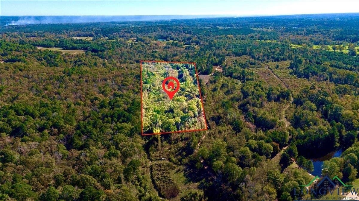 13.47 acres in Upshur County gallery image 3