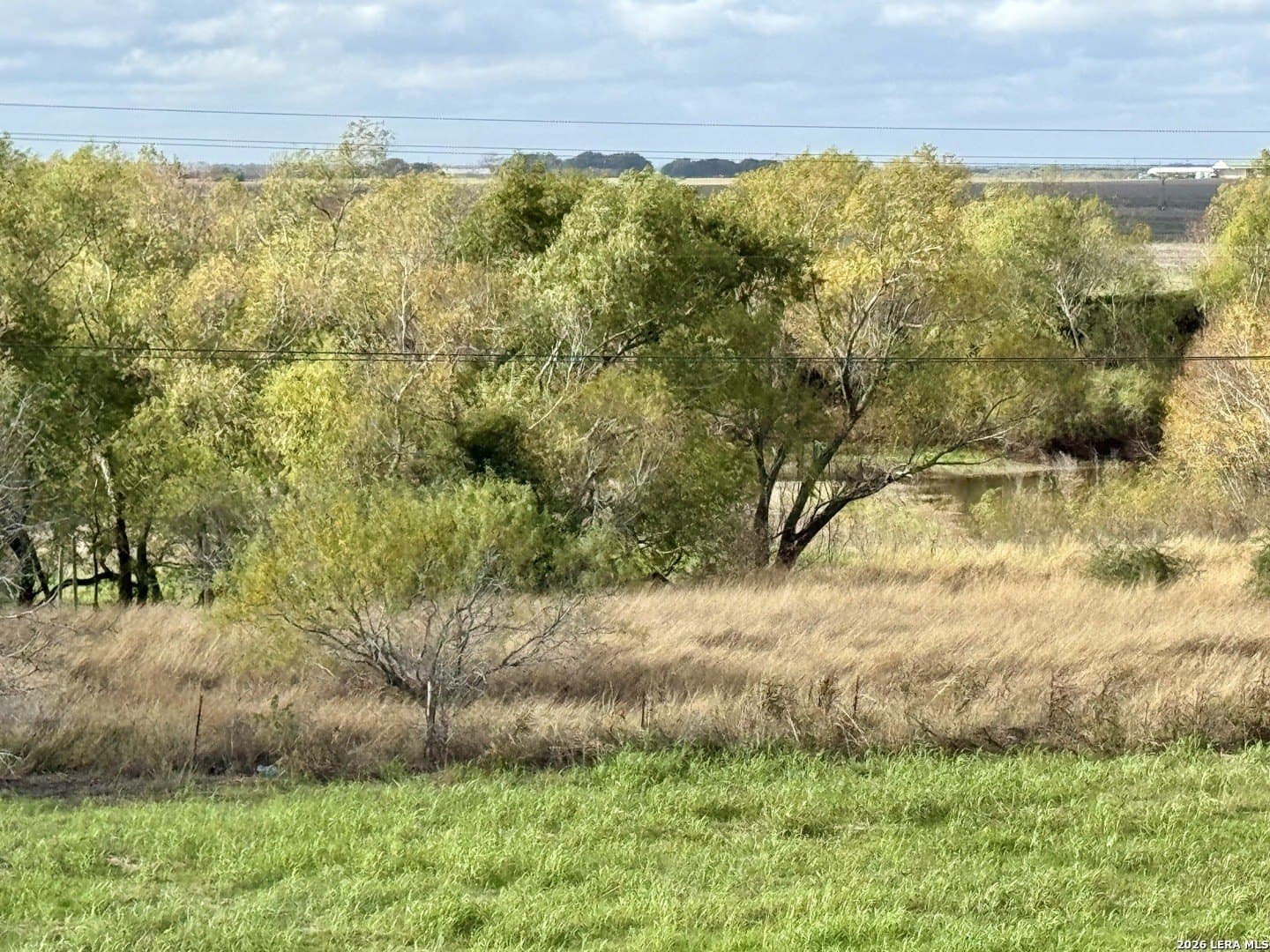 22.56 acres in Victoria County - photo 2
