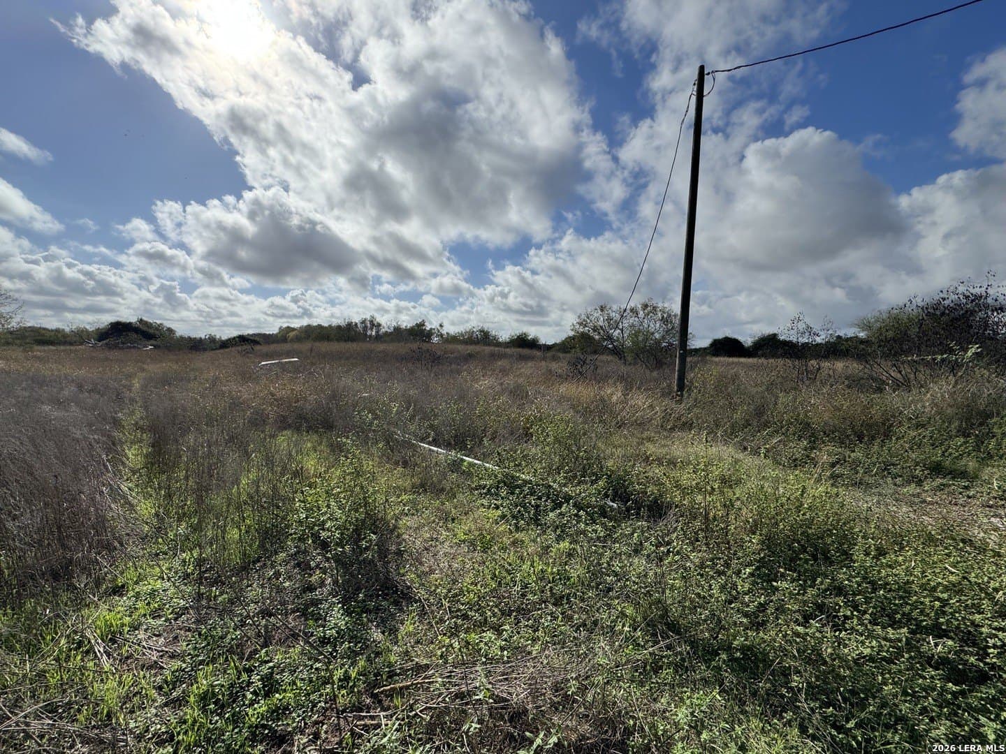 22.56 acres in Victoria County - photo 14