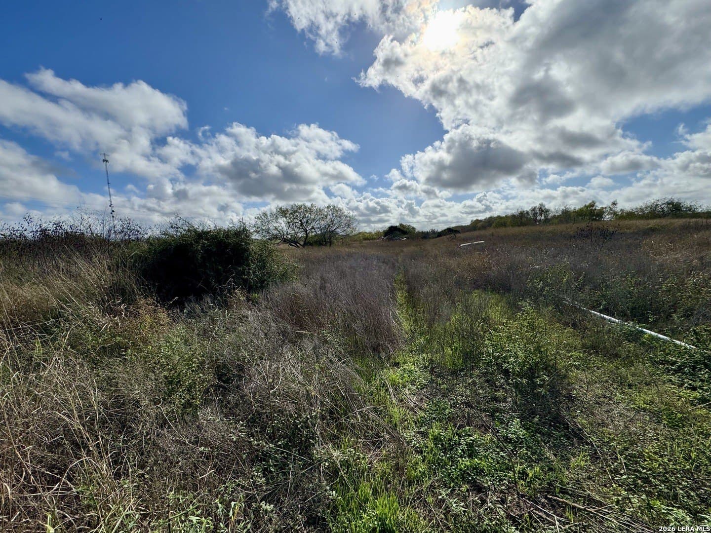 22.56 acres in Victoria County - photo 13