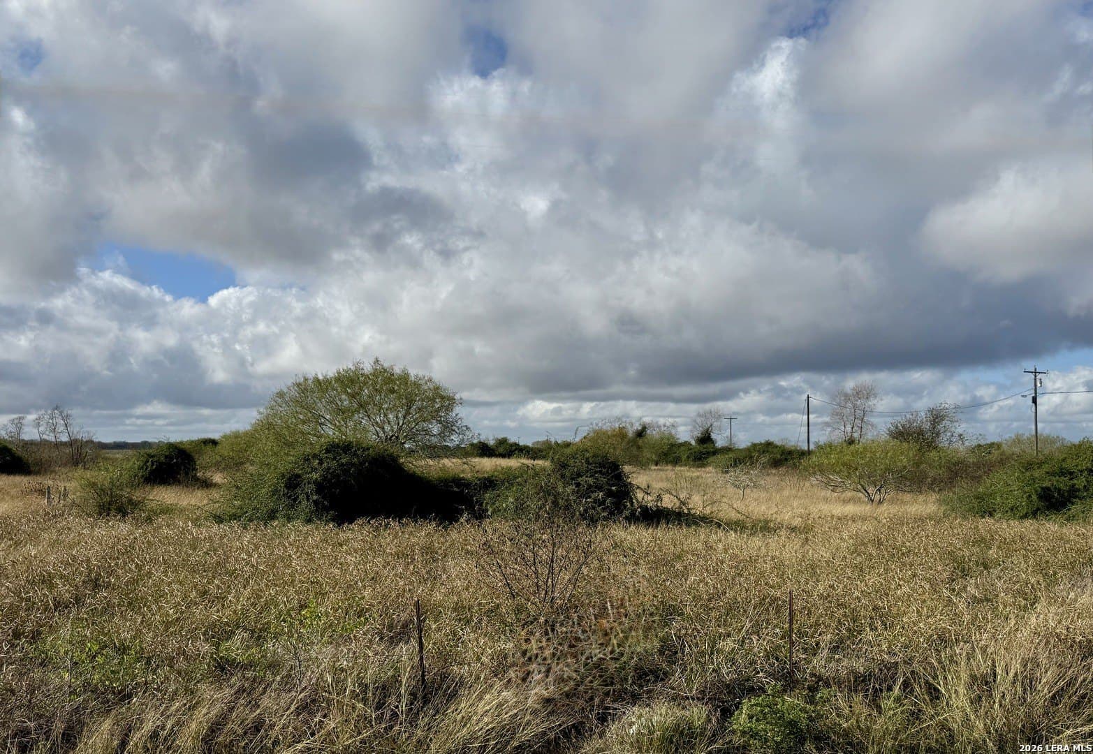 22.56 acres in Victoria County - photo 10