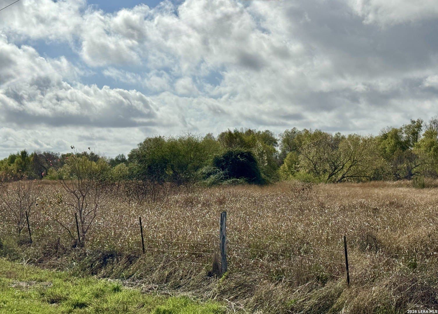 22.56 acres in Victoria County - photo 11