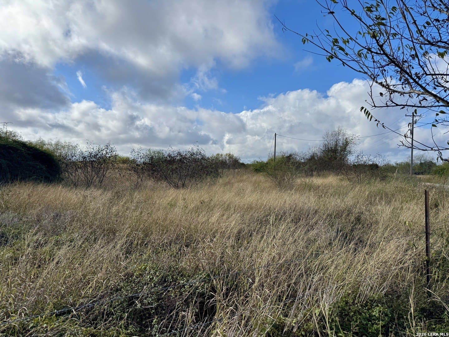 22.56 acres in Victoria County - photo 15