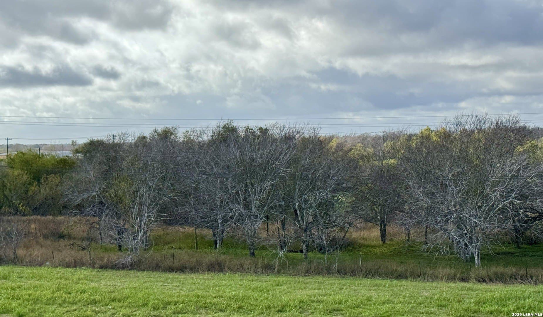 22.56 acres in Victoria County - photo 6