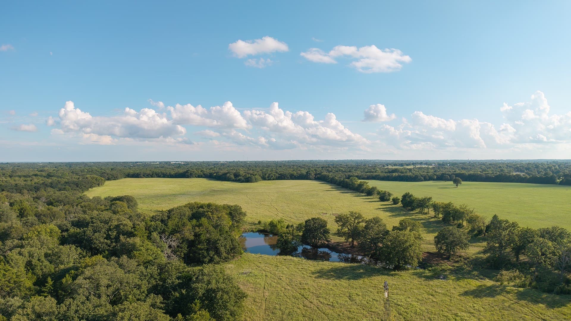 228.2 acres in Grayson County - photo 5