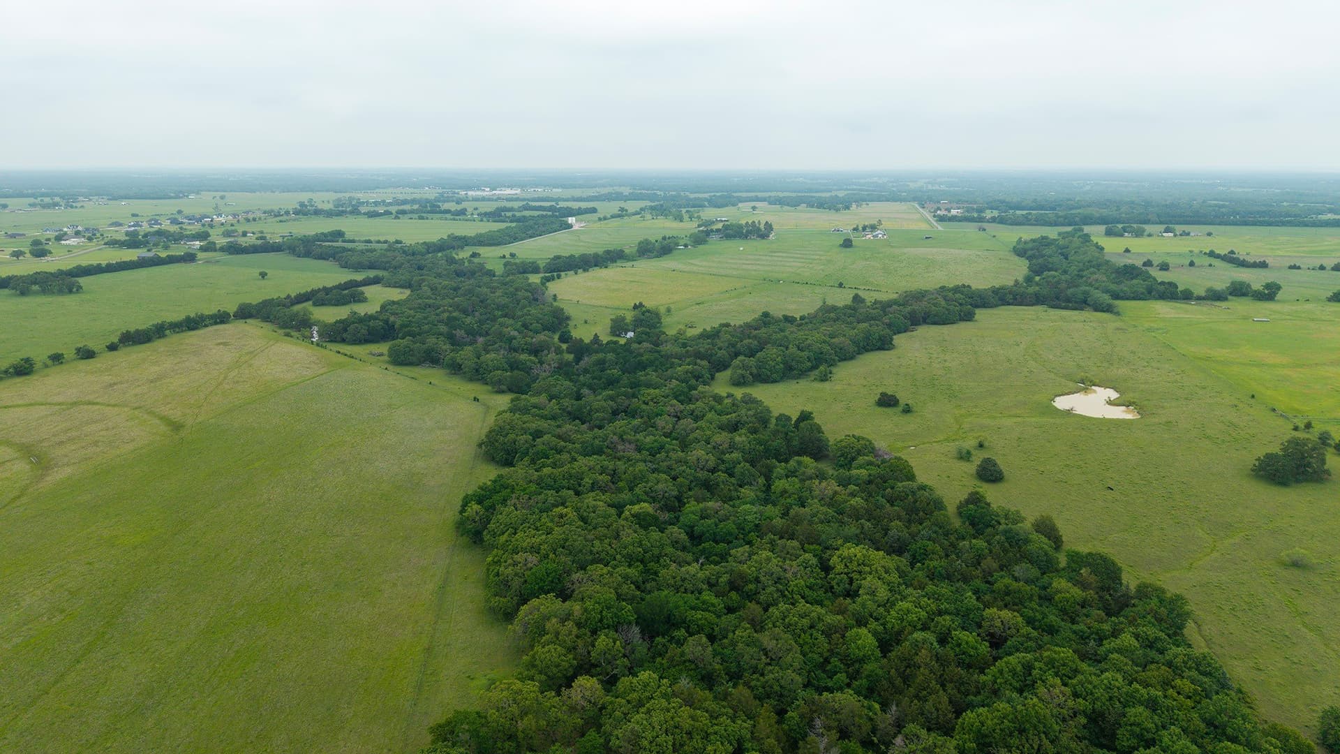228.2 acres in Grayson County - photo 19