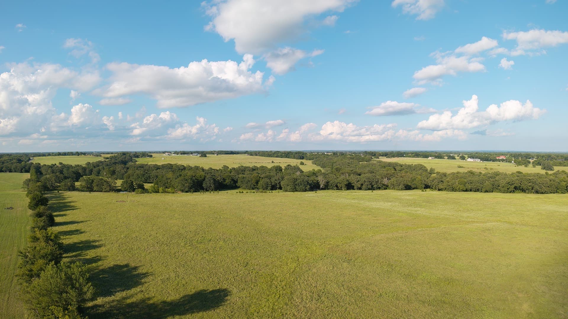 228.2 acres in Grayson County - photo 33