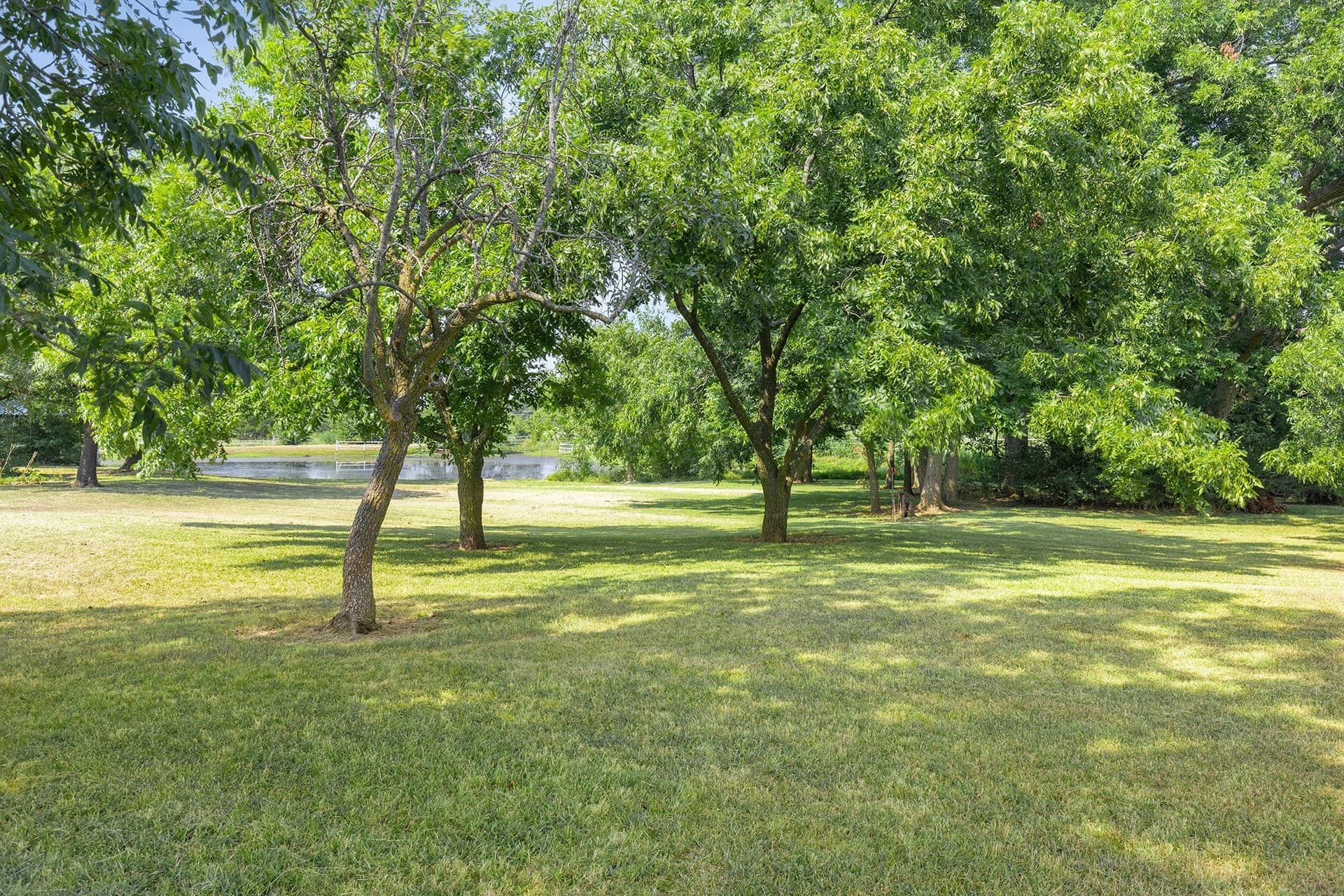 228.2 acres in Grayson County - photo 11
