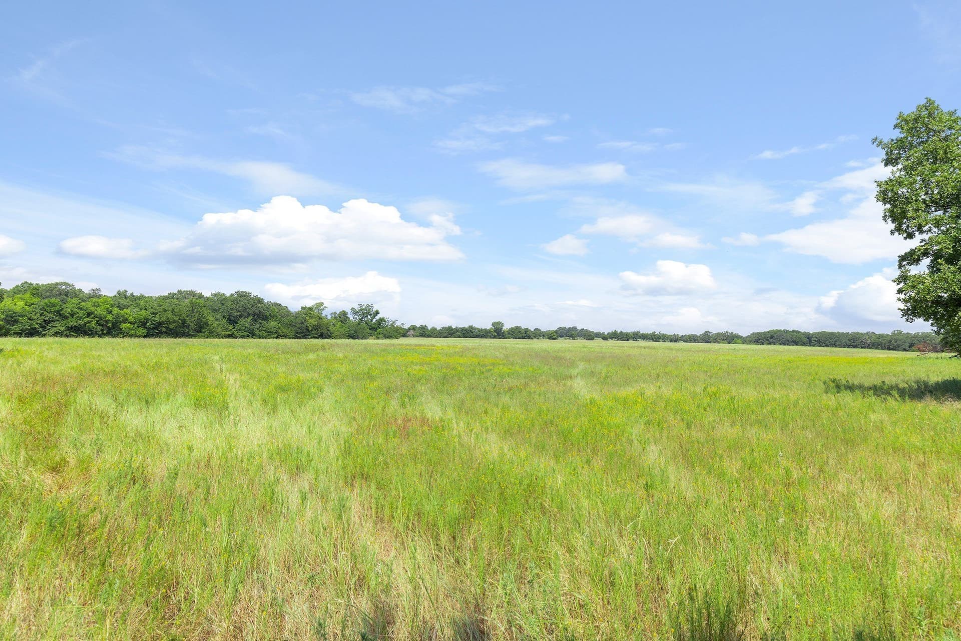 228.2 acres in Grayson County - photo 6