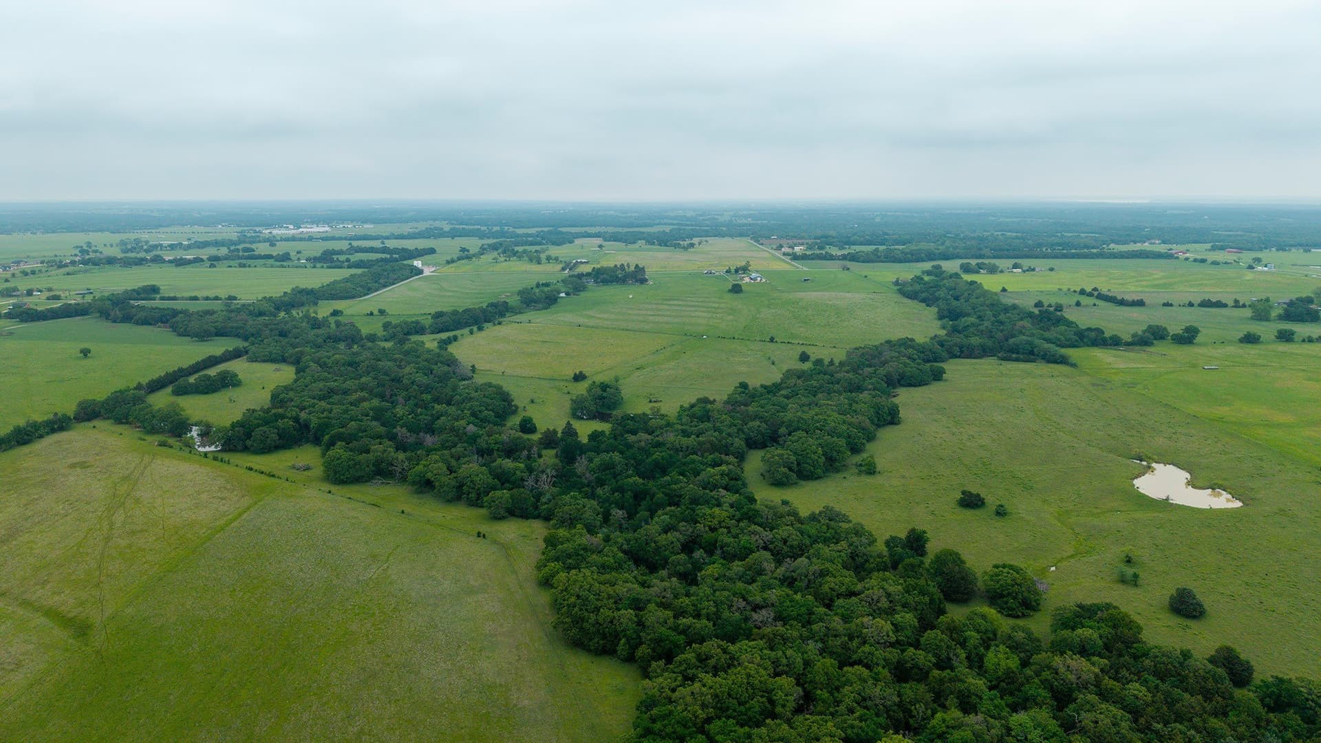 228.2 acres in Grayson County - photo 10