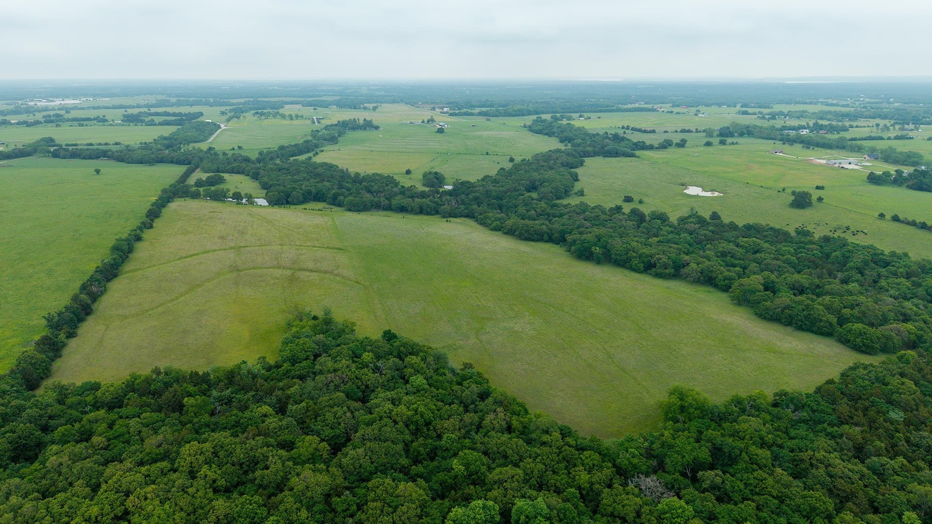 228.2 acres in Grayson County - photo 15