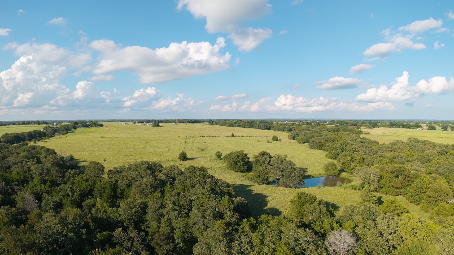 228.2 acres in Grayson County - photo 34