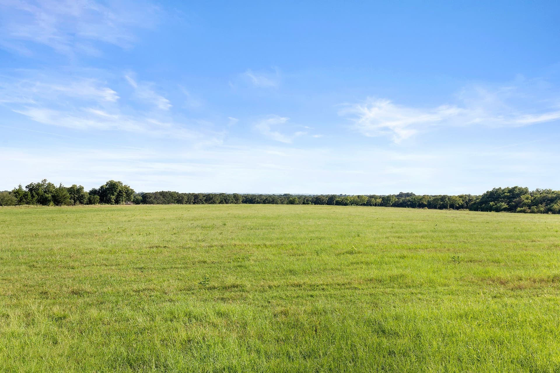228.2 acres in Grayson County - photo 14