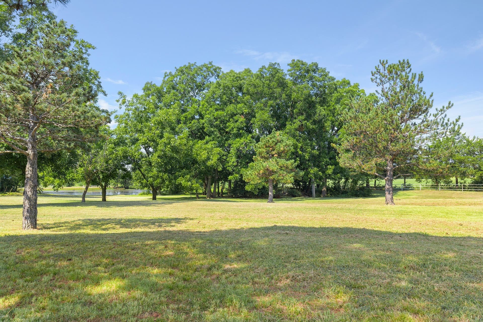 228.2 acres in Grayson County - photo 30