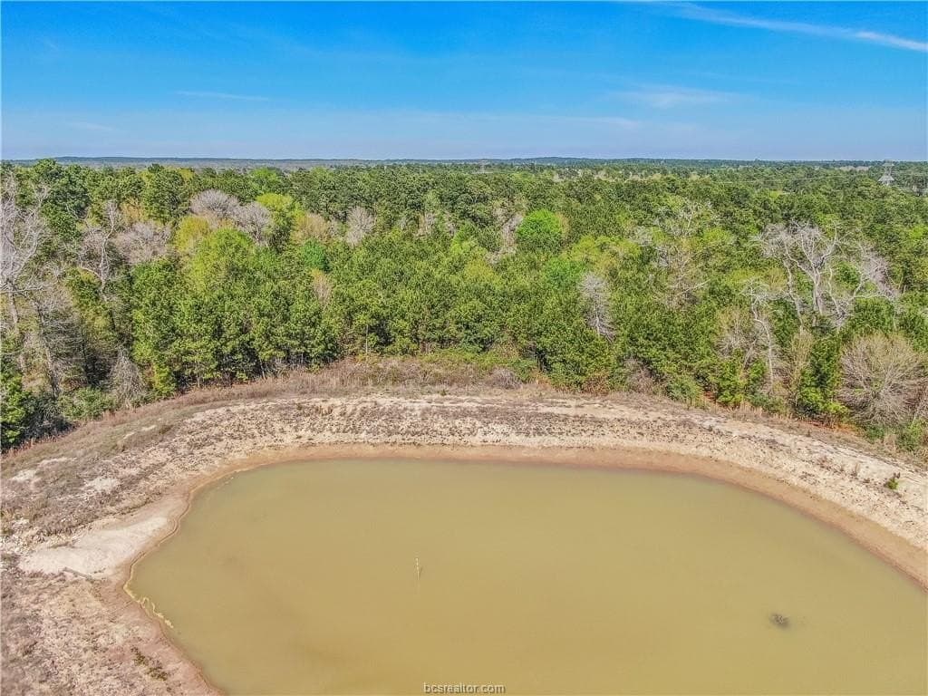 15 acres in Grimes County - photo 6
