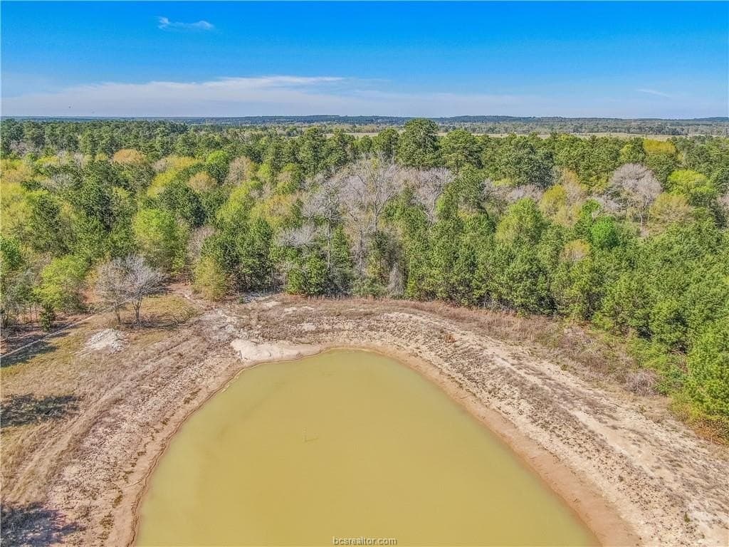 15 acres in Grimes County - photo 5