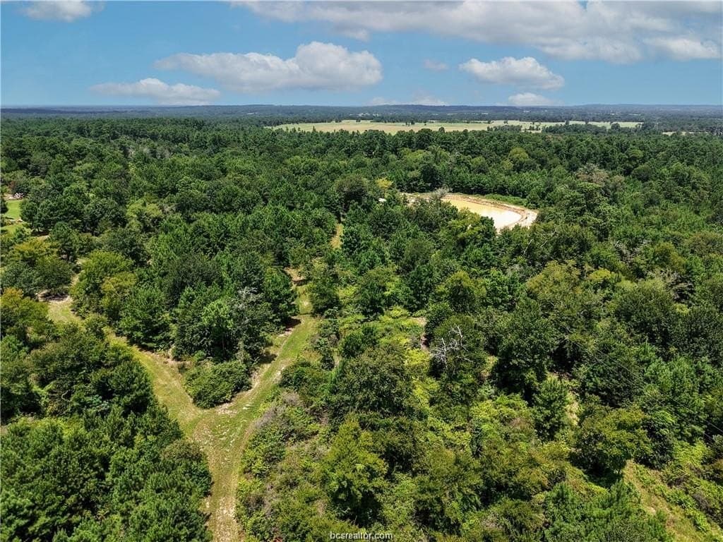 15 acres in Grimes County - photo 11