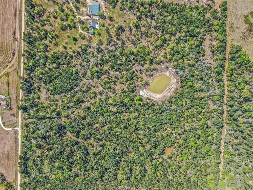 15 acres in Grimes County - photo 12