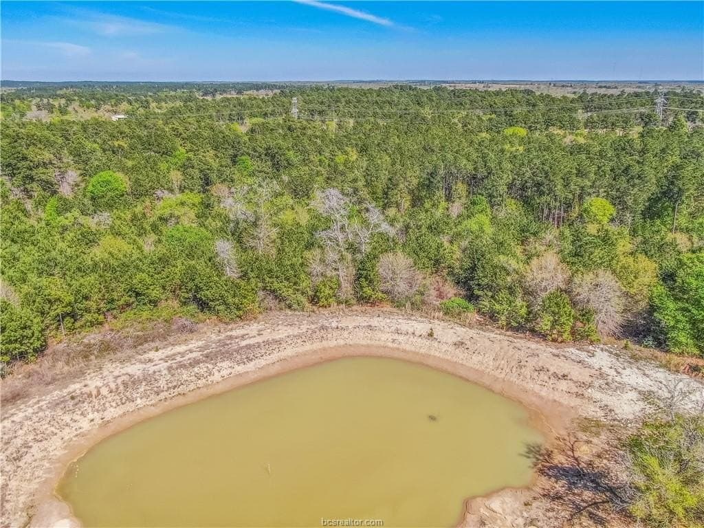 15 acres in Grimes County - photo 9
