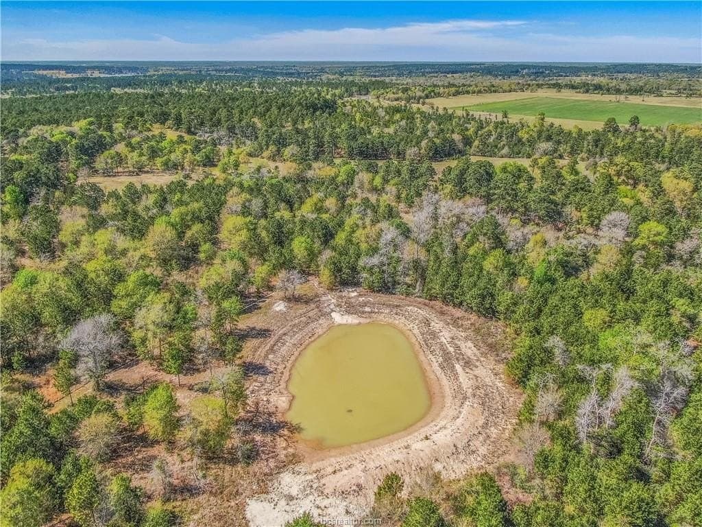 15 acres in Grimes County - photo 4