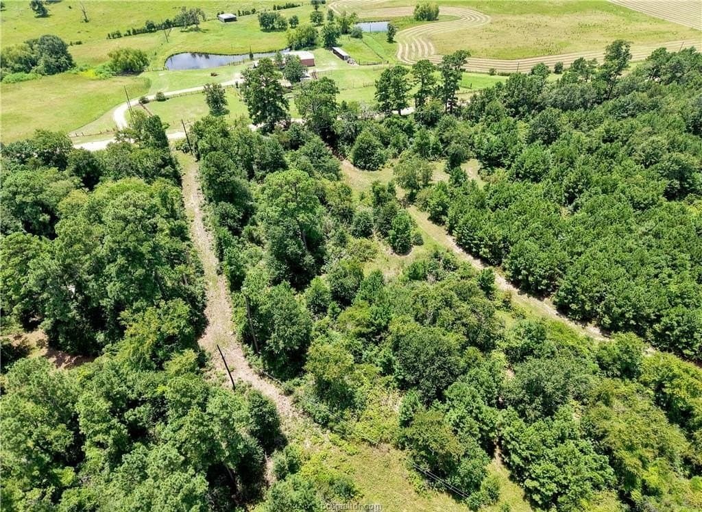 15 acres in Grimes County - photo 10