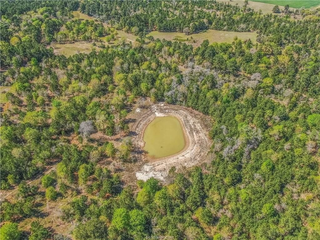15 acres in Grimes County - photo 3